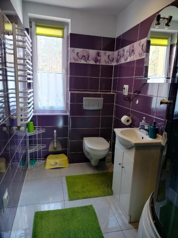 Zgorzanka Villa Istebna Dış mekan fotoğraf